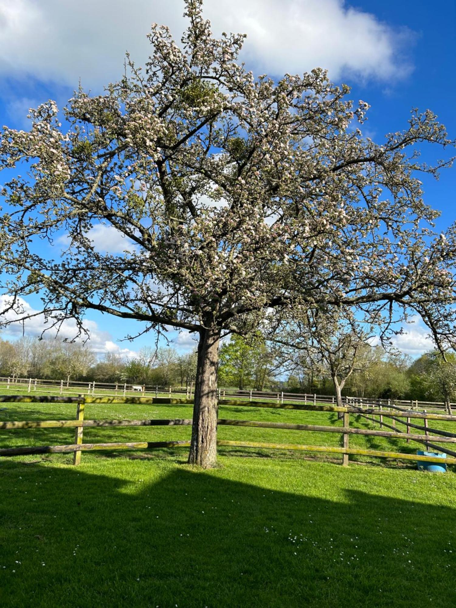 La Longere Du Haras Lägenhet Manerbe Exteriör bild