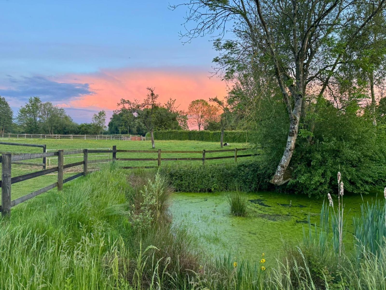 La Longere Du Haras Lägenhet Manerbe Exteriör bild