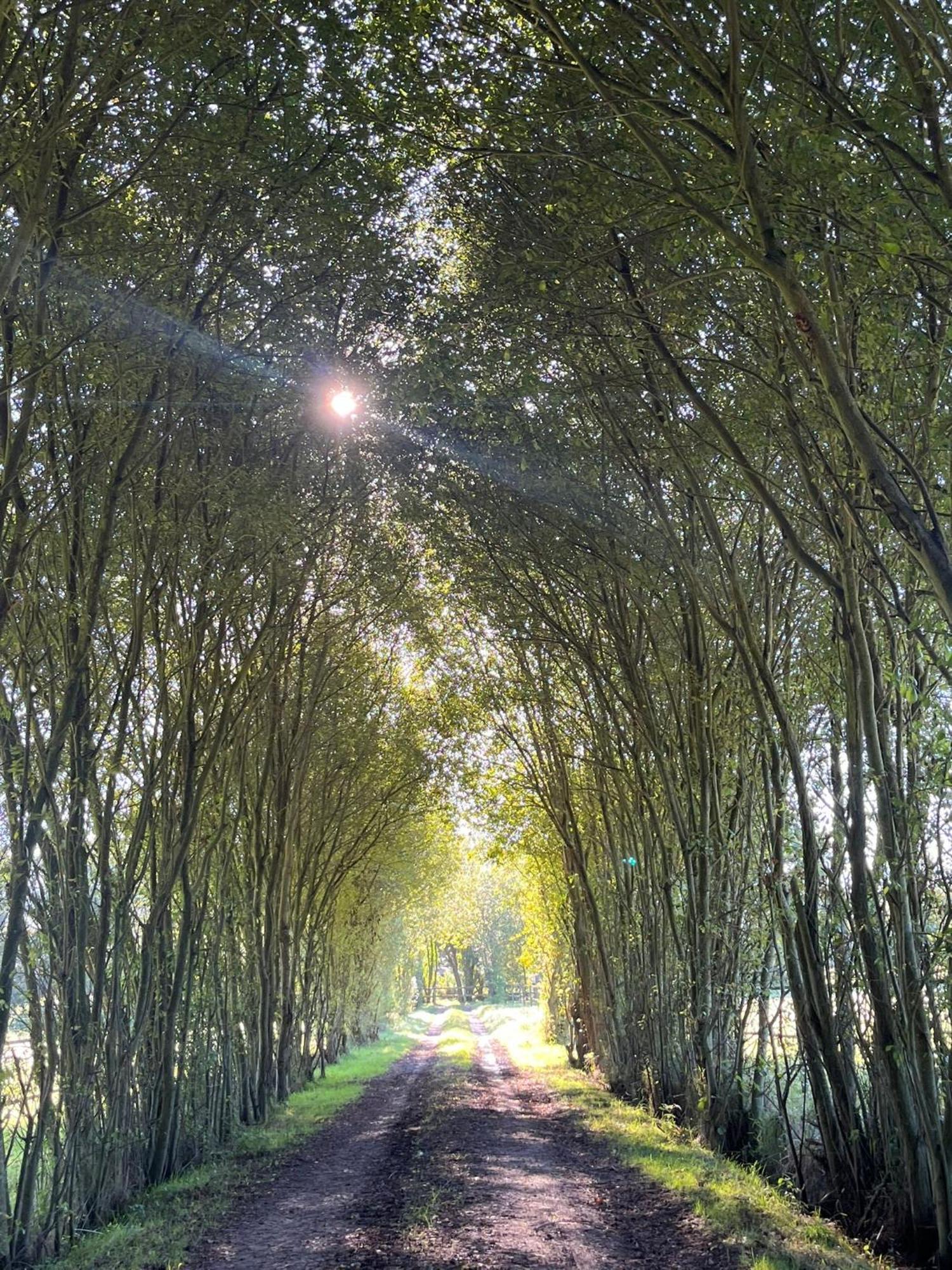La Longere Du Haras Lägenhet Manerbe Exteriör bild