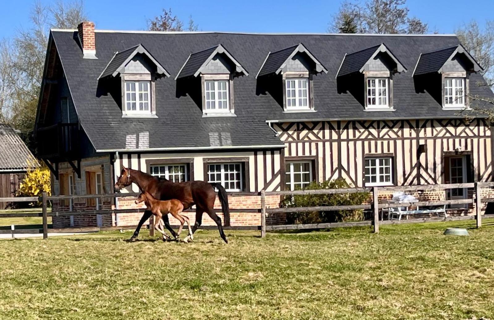 La Longere Du Haras Lägenhet Manerbe Exteriör bild
